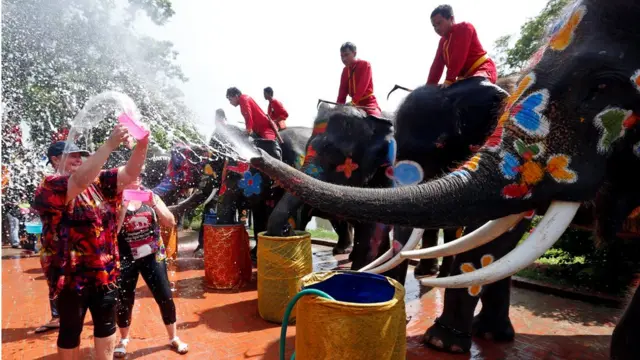 สงกรานต์ช้างที่อยุธยา