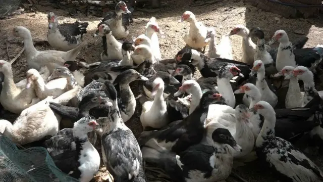 இலங்கை உள்நாட்டு போரிலிருந்து மீண்ட ஒரு பெண்ணின் வெற்றி கதை