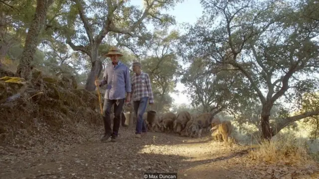 વિશ્વનું સૌથી મોંધુ માંસ