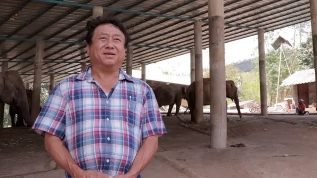 ช้างบ้านกลับถิ่น