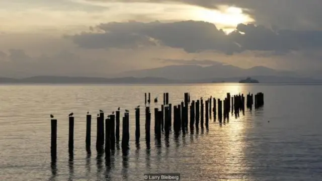 प्वाइंट रॉबर्ट्स