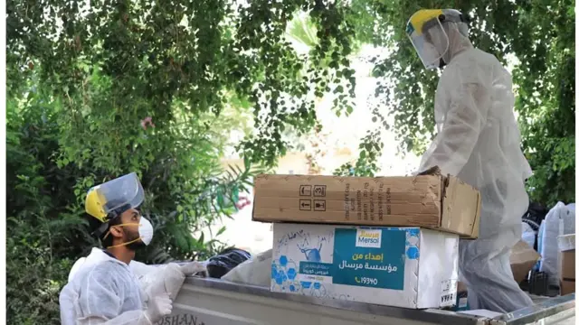 هبة راشد