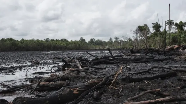 Agbegbe kan ti wahala ifọnka epo rọbi ti sọsẹ