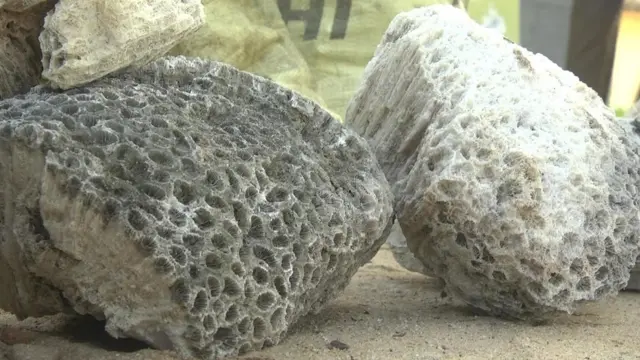 రామసేతు