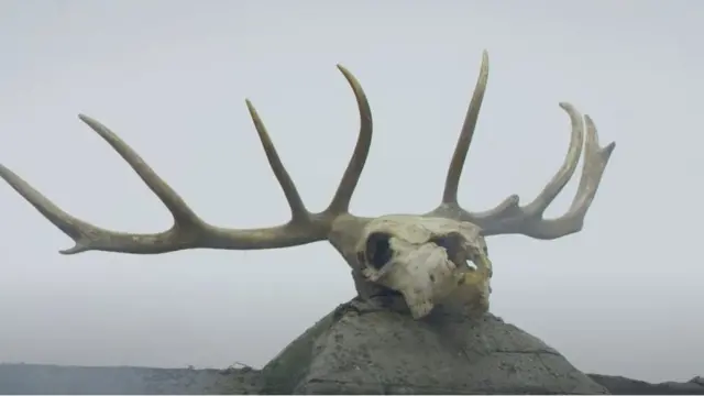 Бугунун кажып калган башы. Бир учурда кээ бир чөлкөмдө мүрзөгө бугунун мүйүзүн коюу адатка айланган экен