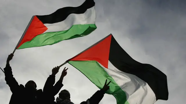 Two men hold Palestinian flags