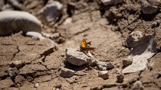Засуха в Каталонии