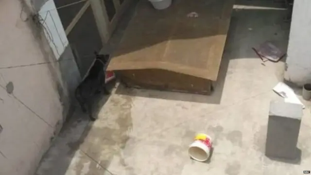 ਮੌਤ, ਸਾਇਕੋਲੌਜੀਕਲ ਅਟੌਪਸੀ