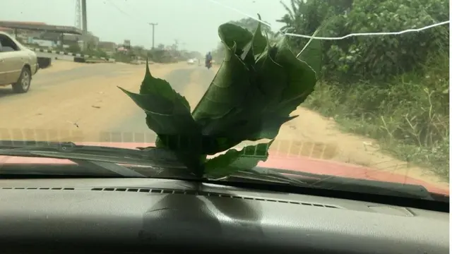 Bẹẹ sini wọn ja ewe si ẹnu gbogbo ọkọ to n ti ọna Olodo lọ si ilu Ibadan.