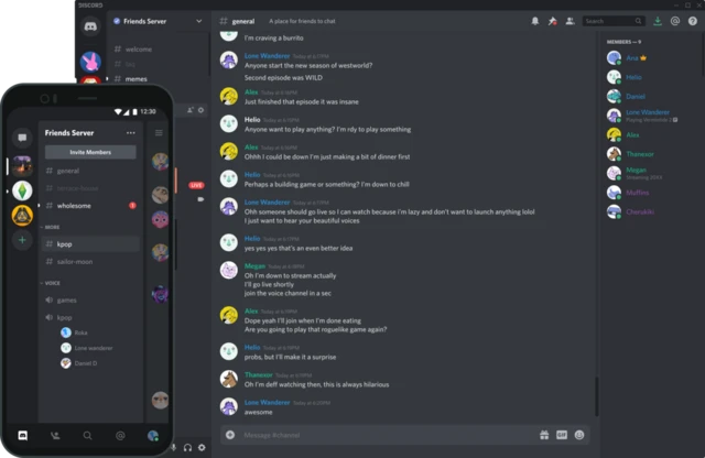 Скріншот чатів на платформі Discord, де 21-річний айтішник викладав секретні документи