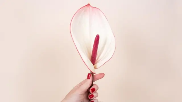 Цветок в руке