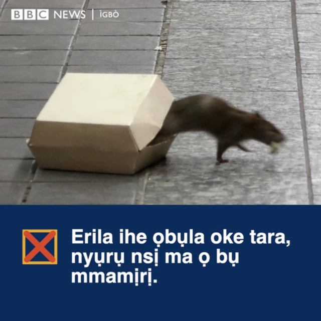 Tufuo nri i chere na oke ataala