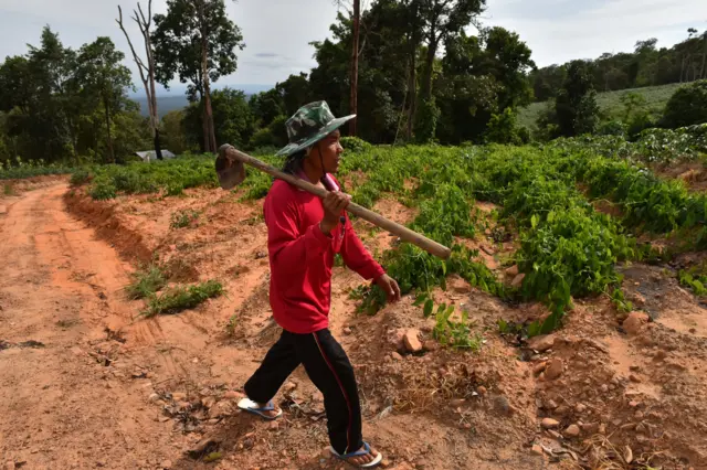 วุฒิศักดิ์ กาญจนกุล