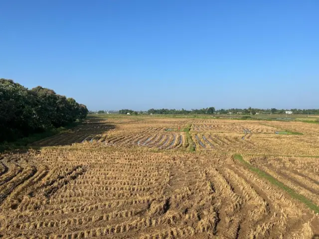 நெல் கொள்முதல் விவகாரம்