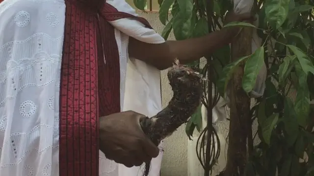 Igbo ji ọfo na ogu ama atụ ihe kwụ ọtọ