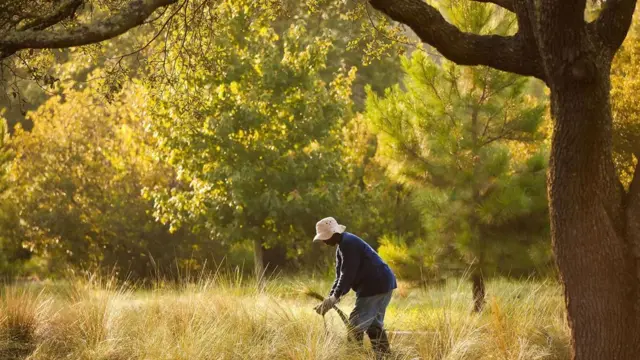 維多利亞說："的確，文化可能消失，但我們的人民能重塑文化。"