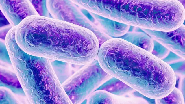 क्षयरोगाचे जीवाणू