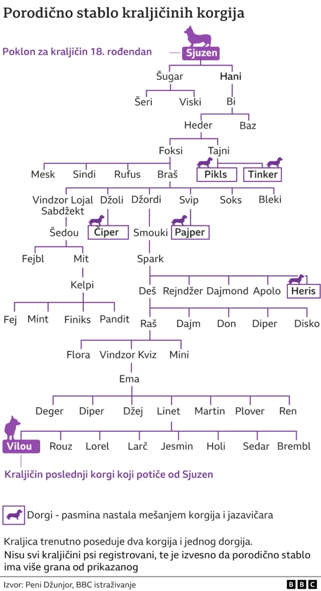 porodično stablo korgija