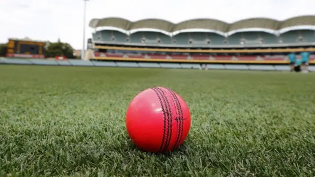 کرکٹ گلابی گیند