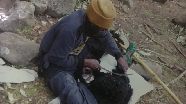 በግ የሚሸልቱ አርሶ አደር