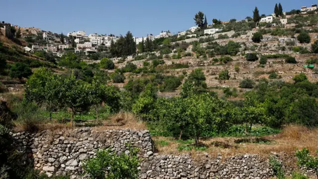 palestina, benih, pertanian