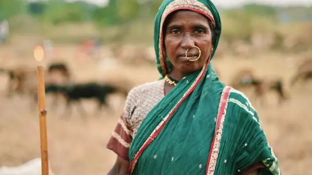 प्रातिनिधिक फोटो