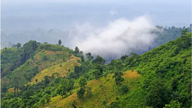 বান্দরবান।