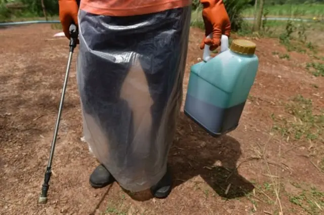 พาราควอต