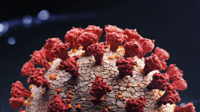 கொரோனா வைரஸ்