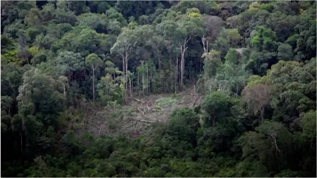 Desmatamento na Amazônia