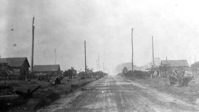 Colheitaapp blaze downloadpimenta-do-reinoapp blaze downloadTomé-Açu