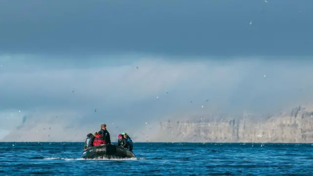 利奥波德王子岛
