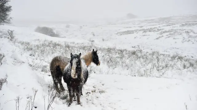 موج سرما ایرلند را هم سفید پوش کرده است