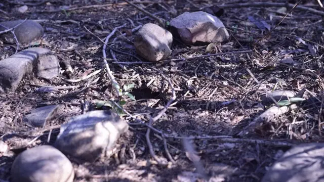 बच्ची के शव को यहां से बरामद किया गया