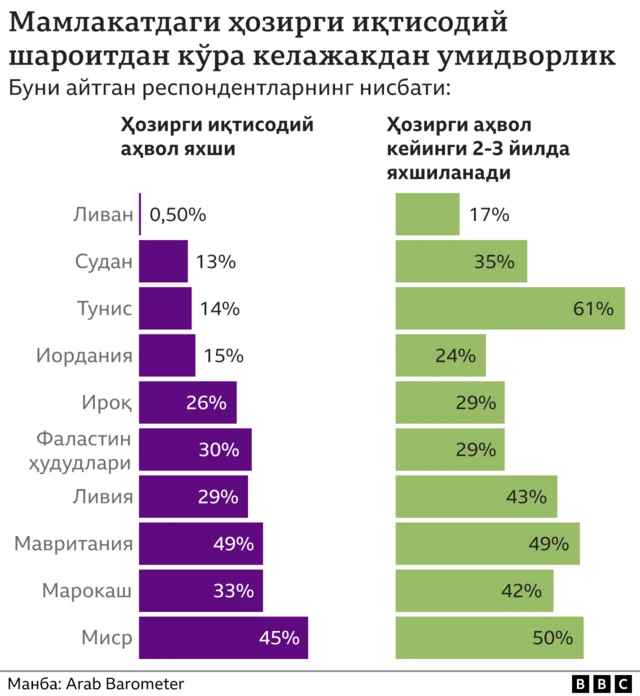 Араб Барометри 6