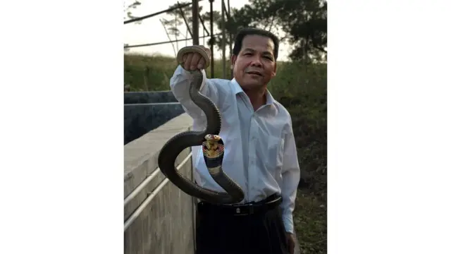 جيانغ ويسونغ