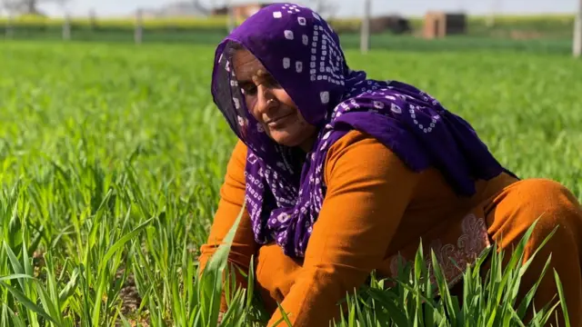 ਵਿਨੇਸ਼ ਫੋਗਾਟ