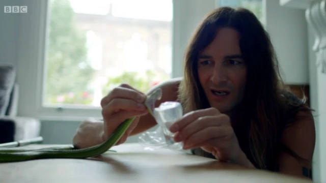 स्टीव लुडविन