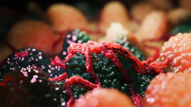 कॅन्सर पेशींचा प्रातिनिधिक फोटो