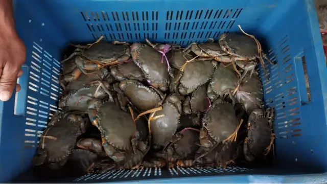 কাঁকড়া