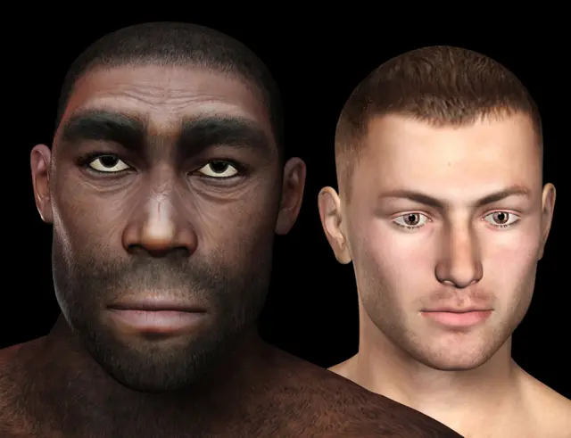 Homo erectus y hombre moderno