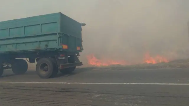 Пожежа вздовж траси у Чернігівській області