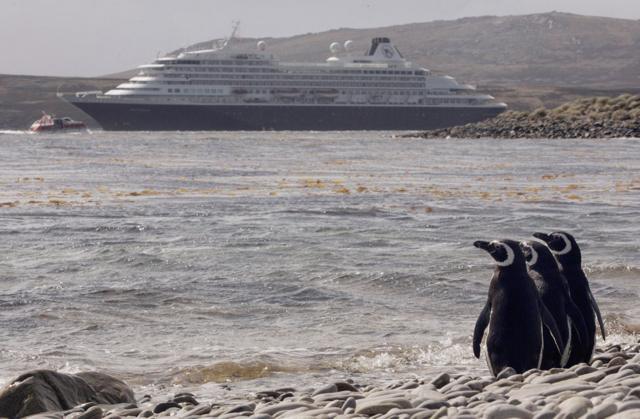 Pingüinos observan un crucero en Malvinas/Falklands.