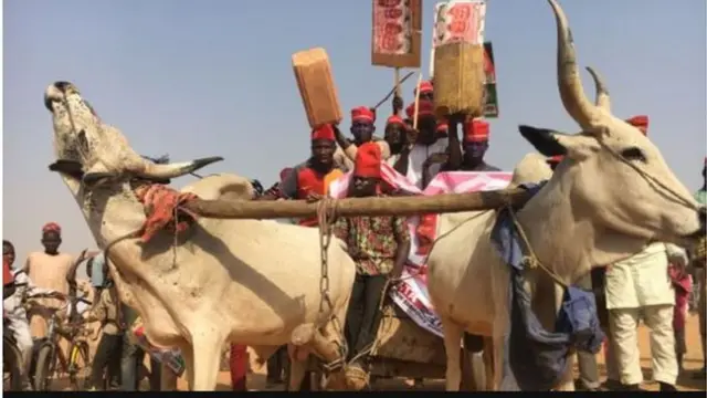 Eto oṣelu lapa Ariwa Naijiria