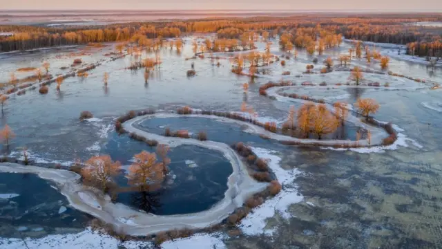 ఎస్టోనియా