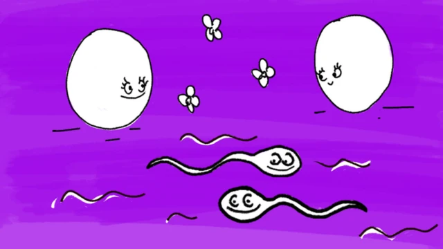 بويضة وحيوانات منوية - رسم كرتوني