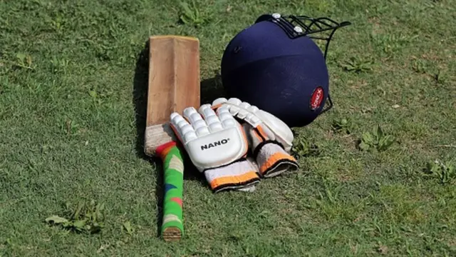 క్రికెట్ బ్యాట్