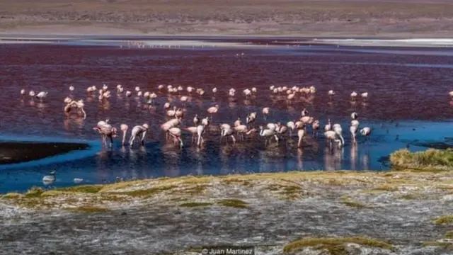 बर्फ के नीचे जमे पुरातात्विक अवशेषों को बचाना क्यों ज़रूरी है?