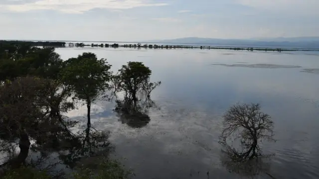 যতদূর চোখ যায়, শুধু পানি আর পানি