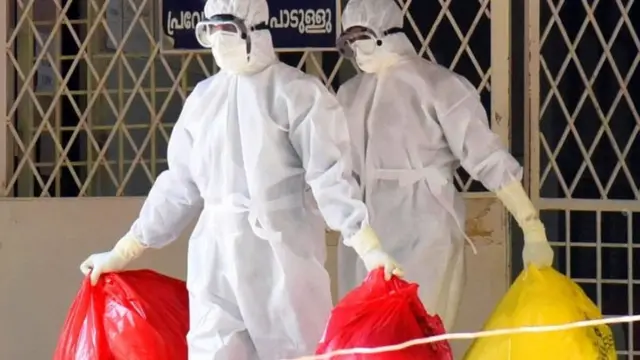 انڈیا میں نیپا وائرس